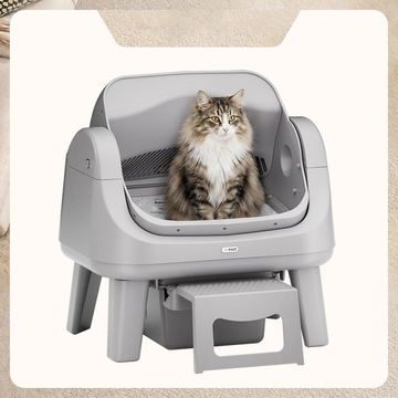 PetPivot Open Top Self Cleaning Cat Litter Box, Automatic Litter Box with 7 Pairs of Safety Sensors, Anti-Pinch Protection and Easy Access Step for Senior Cats, Dark Grey